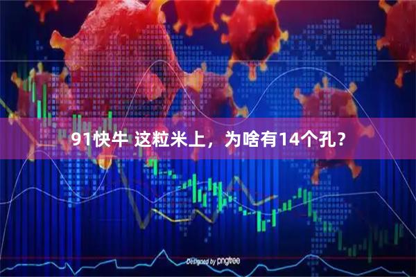 91快牛 这粒米上，为啥有14个孔？
