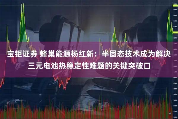 宝钜证券 蜂巢能源杨红新：半固态技术成为解决三元电池热稳定性难题的关键突破口